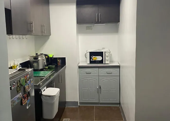 Apartamento 1 Bedroom Unit For 4 With Balcony, Pool, Wifi At Newport Across Naia T3